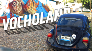 The Beetles and Other Cars of Puebla But Especially the Beetles